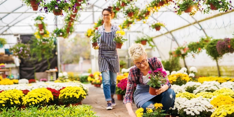 Tips for Starting Your Own Horticulture Business