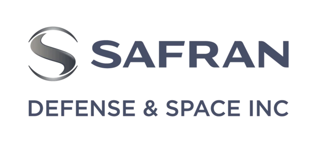 Safran DSI Logo_vertical logo grey
