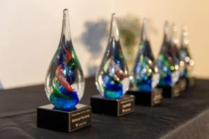 2026 SCPC Vital Link Awards MSO14455 (1)