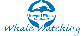 Newport Landing Whale Watching